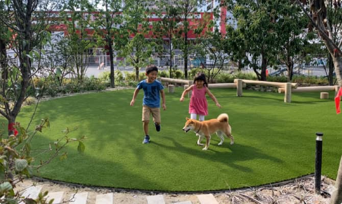 造園・庭づくり