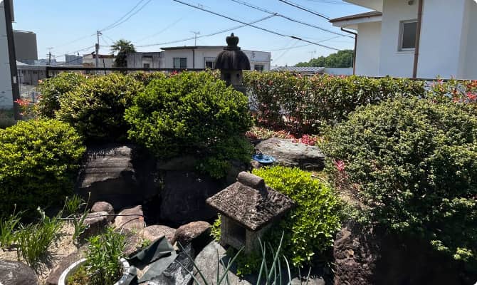 剪定・切り戻し